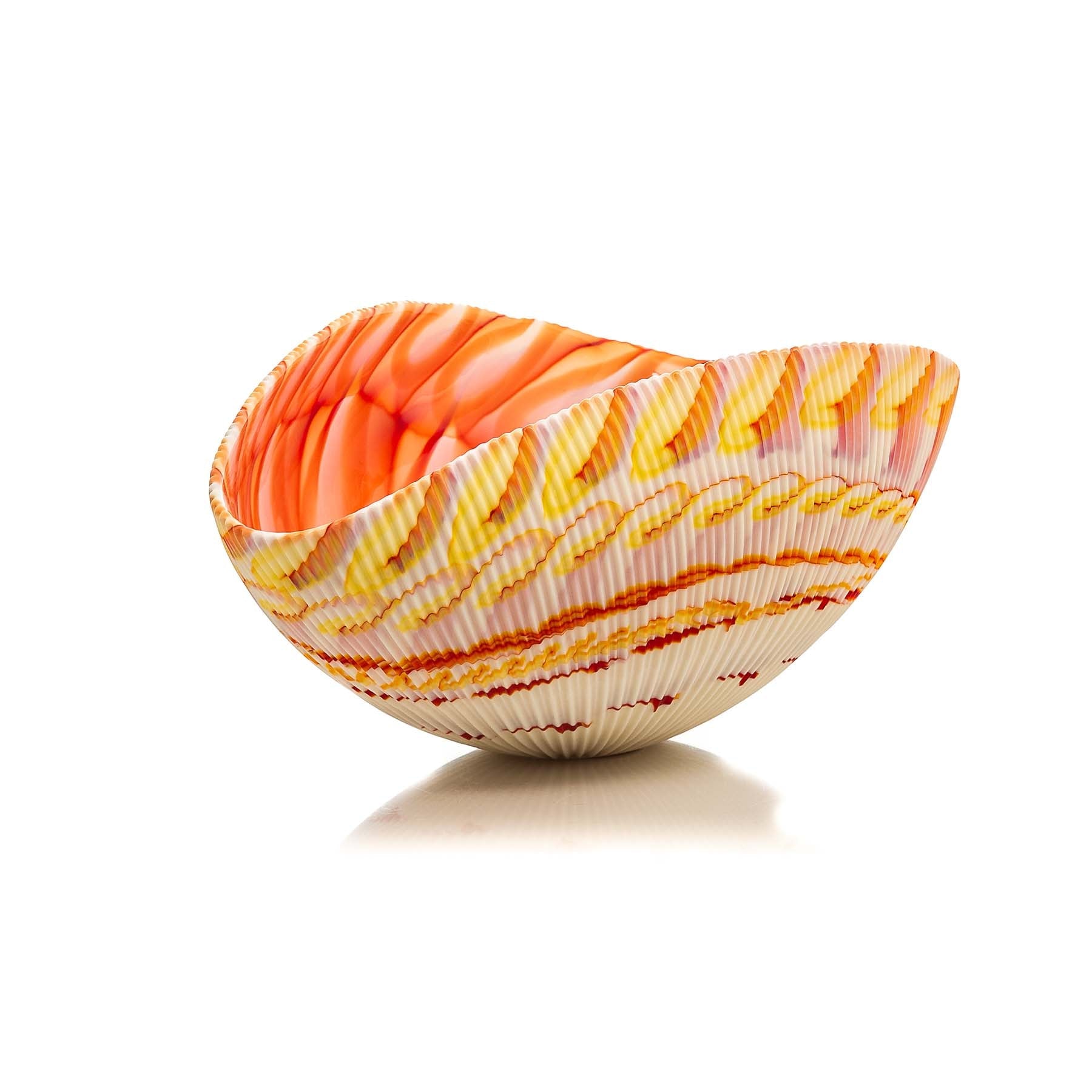 The Shell Collection