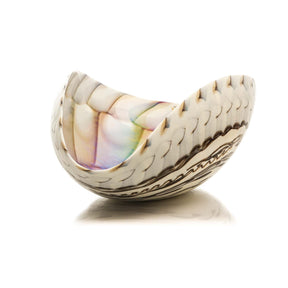 Caribbean Elliptical Folded Bowl - Glass of Murano